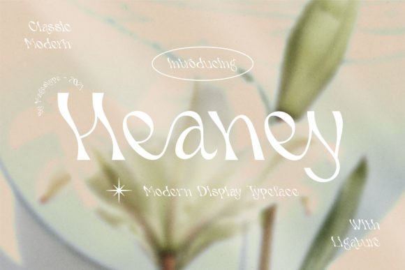 Heaney Font: A Whimsical Display Typeface for Editorial Design