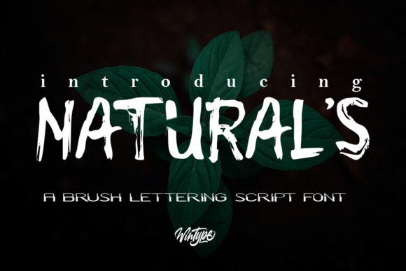 The Natural s Font: A Cool, Rough Textured Display Font for Creators