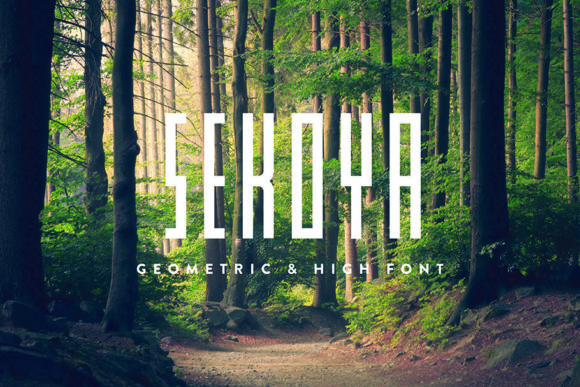 The Sekoya Font for Digital Design and Web Typography