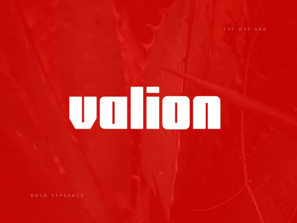 Valion: The Bold Font for a Confident Business Identity